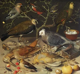 Nature morte d